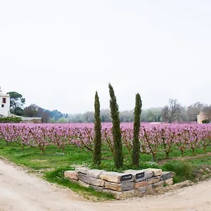 Rural Mas De L'illa Hotel